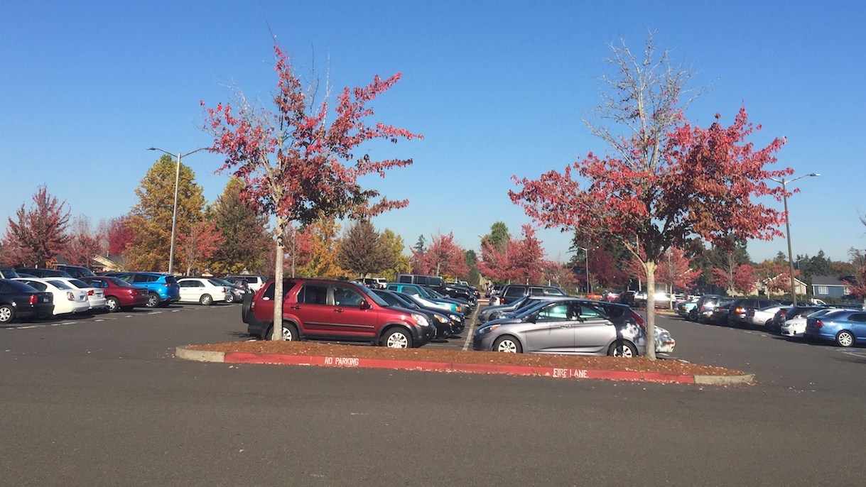Parking Lot Fraught with Problems?